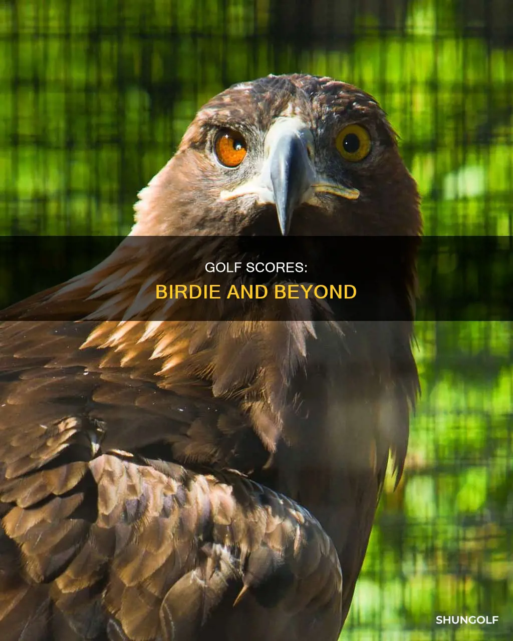 what comes after birdie in golf