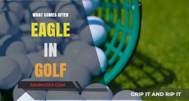 Golf Achievements: What's After an Eagle?