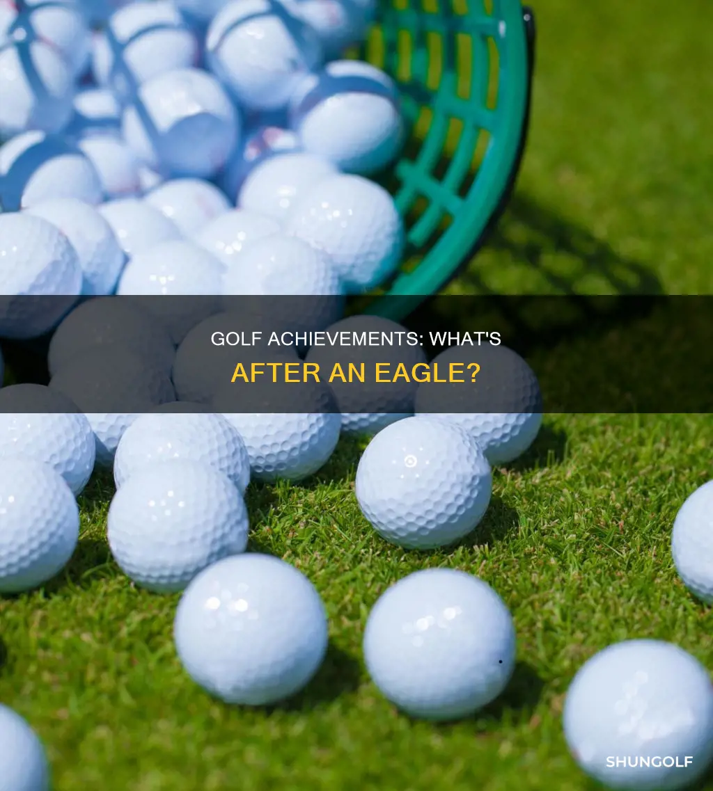 what comes after eagle in golf