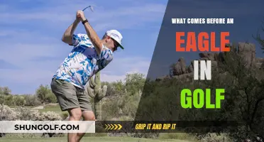 Understanding Golf's Scoring Hierarchy: What Precedes an Eagle on the Course