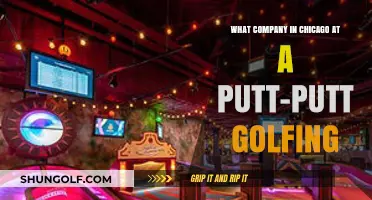 Chicago's Top Putt-Putt Golfing Company: Fun for All Ages