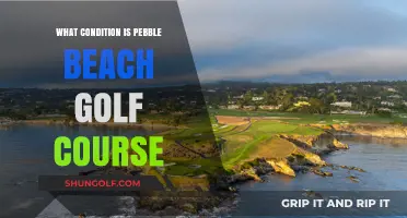 Pebble Beach Golf Course: Pristine Condition and Stunning Coastal Views