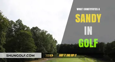 Golf's Sandy Rule: What Constitutes a Bunker Shot?