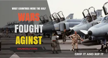 Which Nations Faced the U.S. in the Gulf Wars?