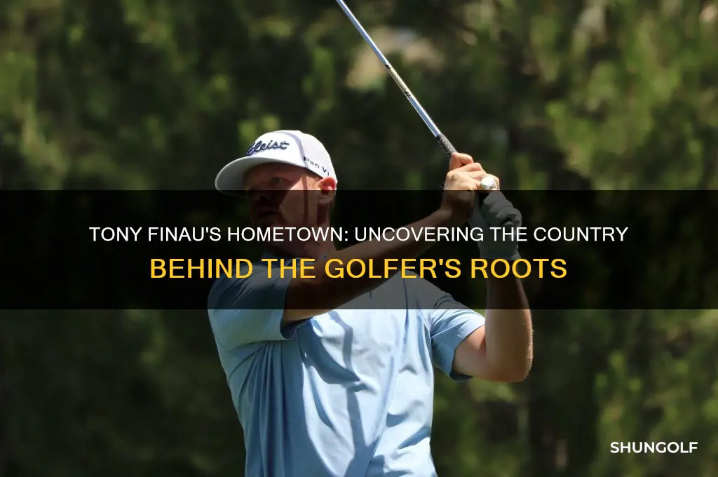what country is golfer tony finau from