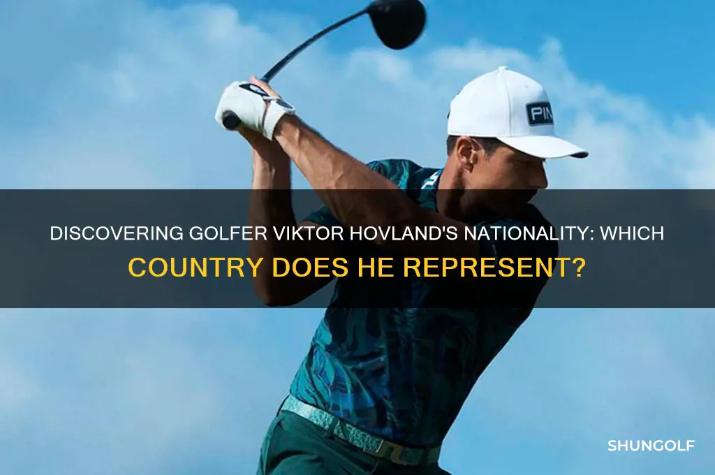 what country is golfer viktor hovland from
