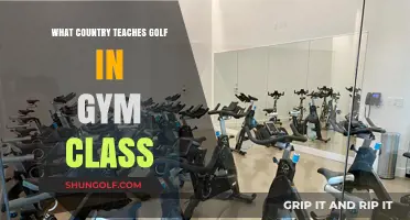 Golf in Gym Class: Which Country Swings into Physical Education?