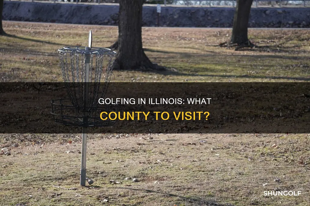 what county 8s golf illinois in