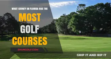 Florida's Golf Paradise: Which County Tops the Course Count?