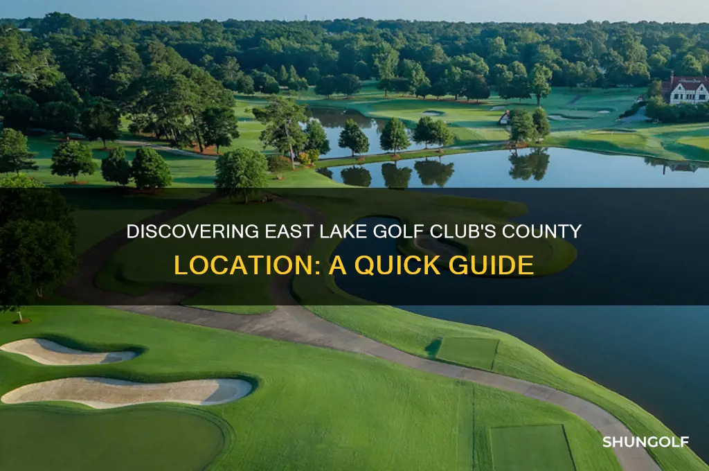 what county is east lake golf club in