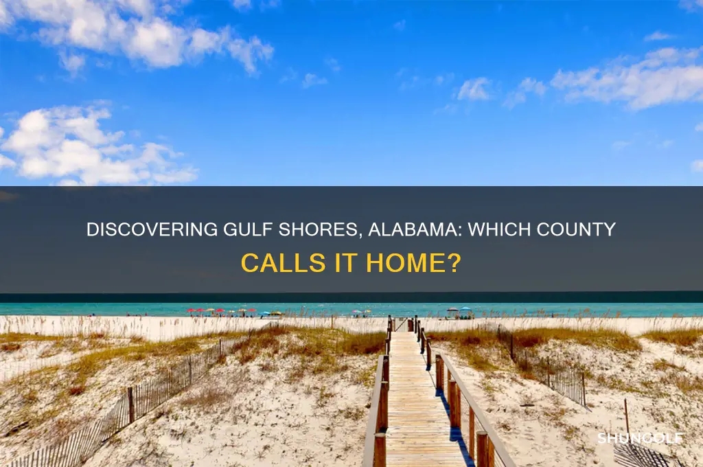 what county is golf shores alabama in