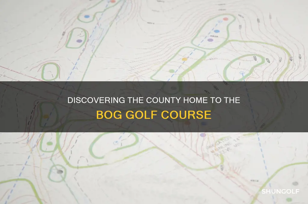 what county is teh bog golf course in