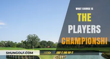 Understanding the Players Championship Course: A Golfer's Ultimate Challenge