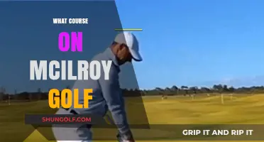 Mastering McIlroy's Golf Techniques: The Ultimate Course Guide
