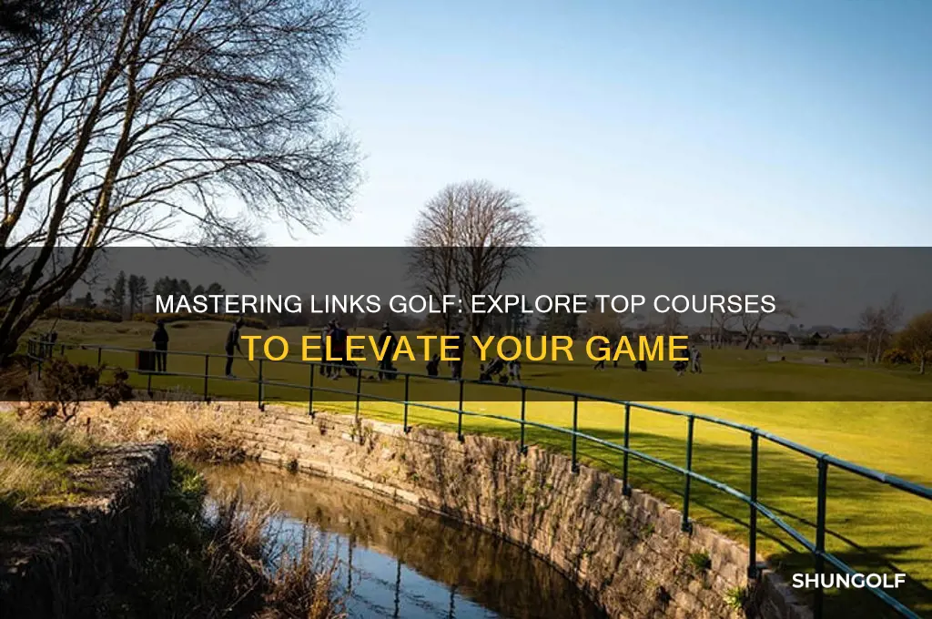 what courses are available for links golf game