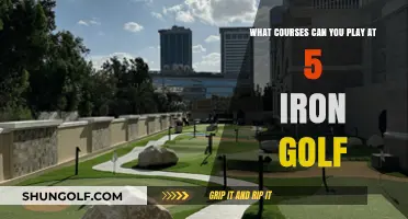 Explore Top Courses to Play at 5 Iron Golf Today