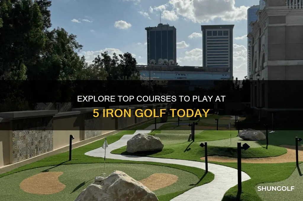 what courses can you play at 5 iron golf