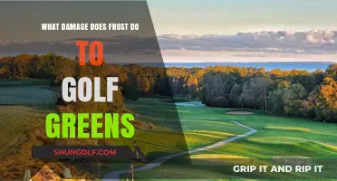 Frost's Impact: How Cold Weather Damages Golf Greens and Recovery Tips
