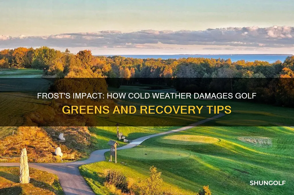 what damage does frost do to golf greens