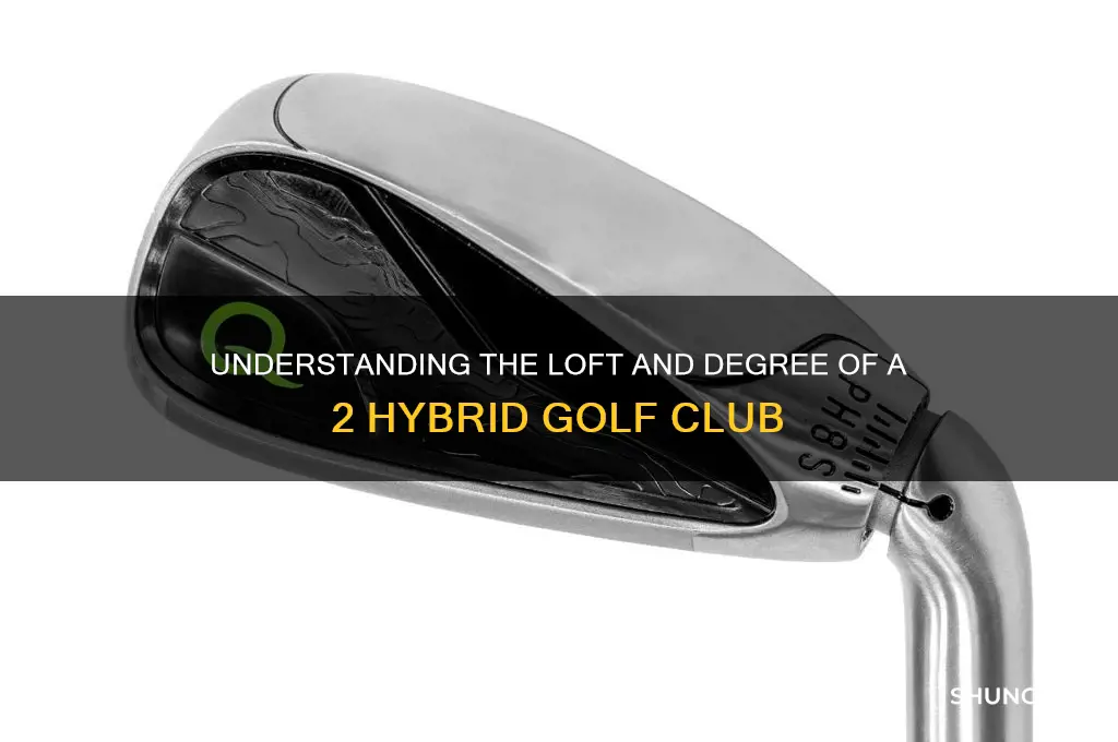 what degree is a 2 hybrid golf club