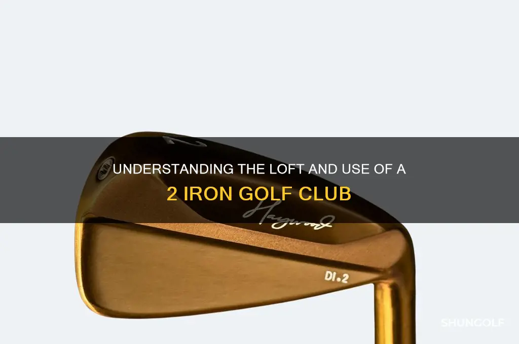 what degree is a 2 iron golf club