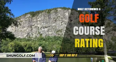 Key Factors Influencing Golf Course Ratings and Player Experience