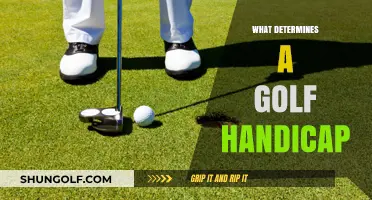 Understanding Golf Handicap: Key Factors That Influence Your Score