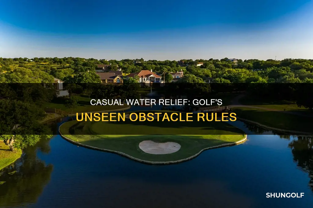 what determines casual water golf relief