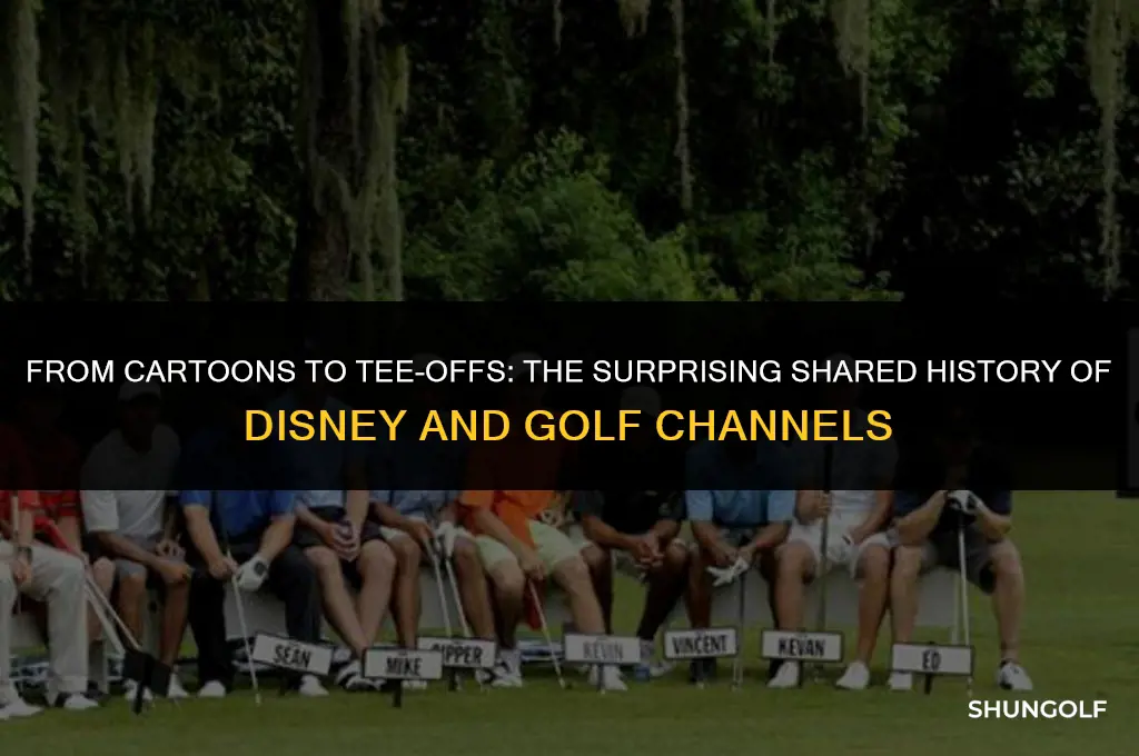 what did disney channel and golf channel appear on