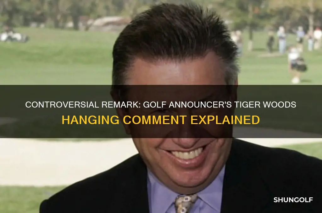 what did golf announcer say about hanging tiger woods