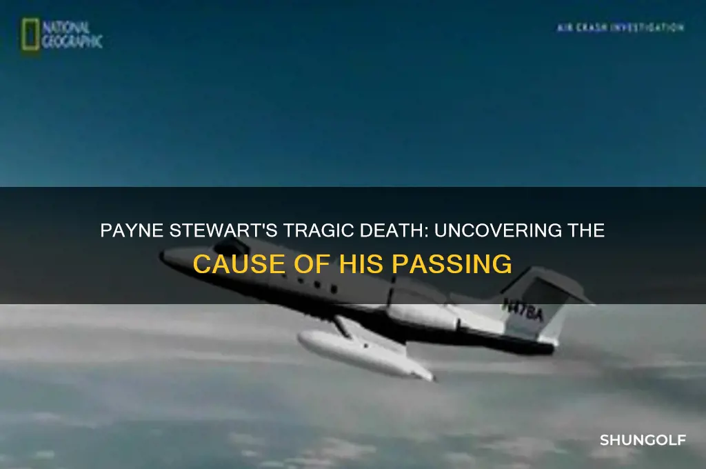 what did golfer payne stewart die from