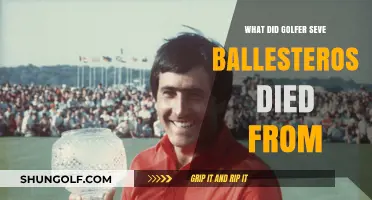 Seve Ballesteros' Tragic Death: Brain Cancer's Impact on Golf Legend