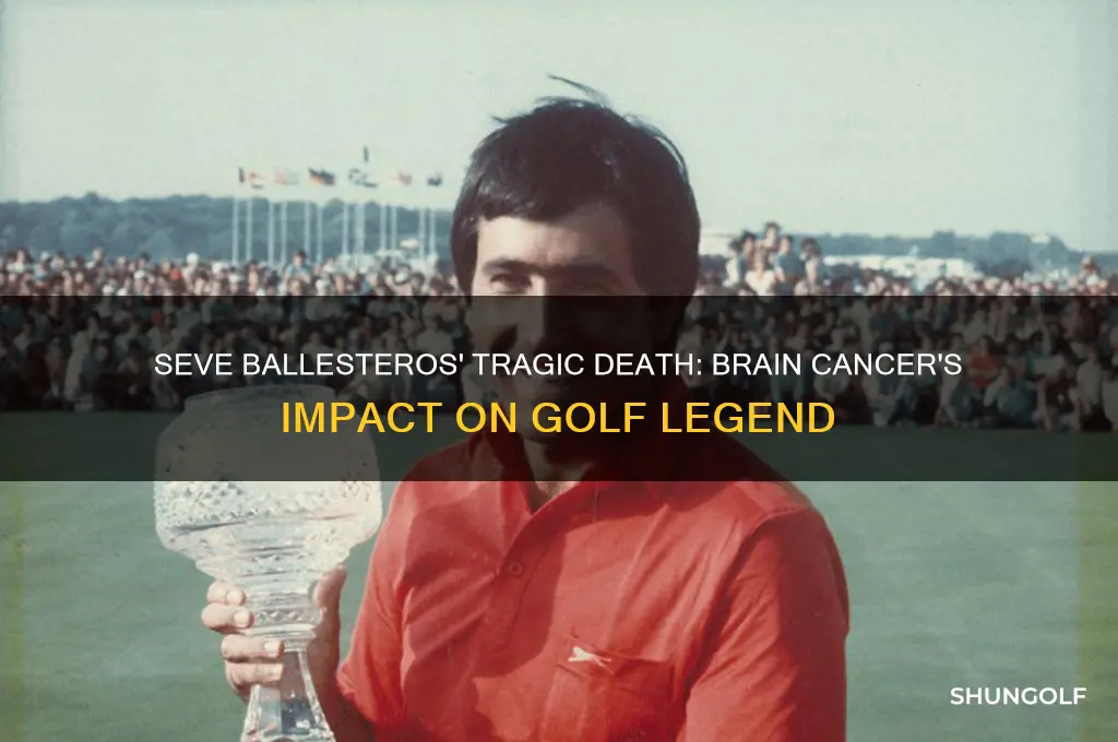 what did golfer seve ballesteros died from