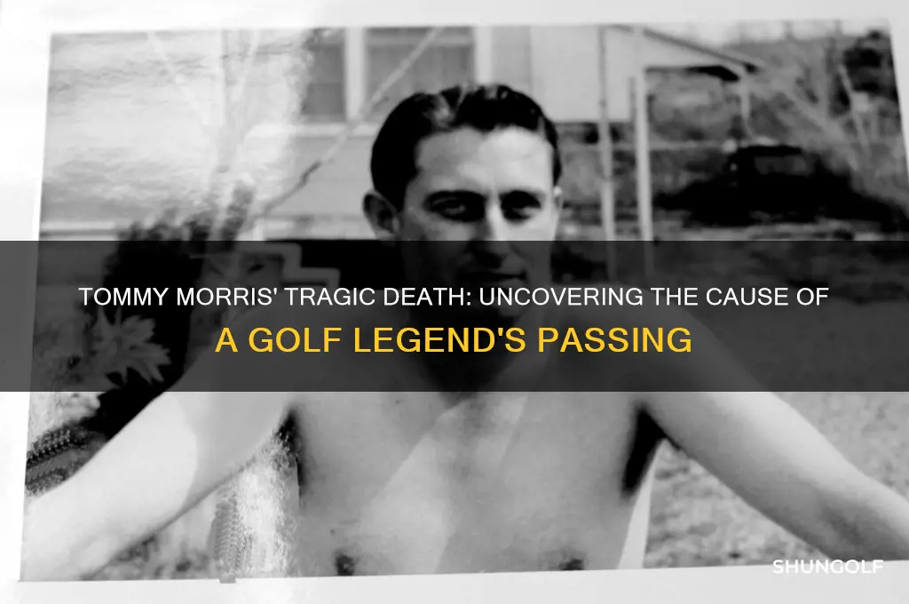what did the golfer tommy morris die from