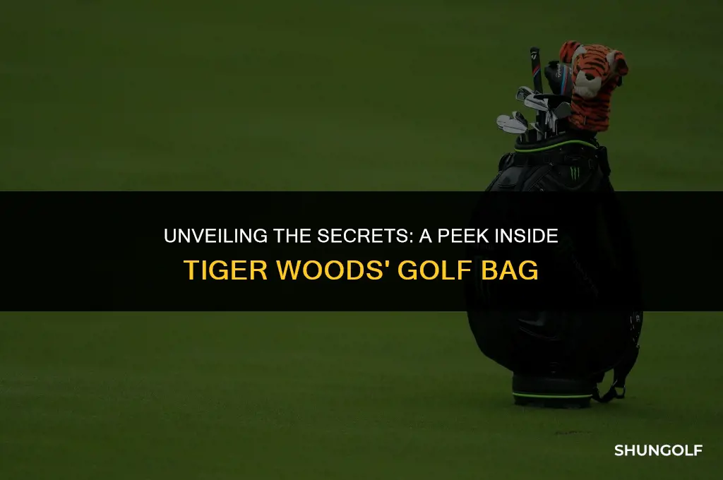 what did they find in tiger woods golf bag