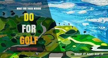 Tiger Woods' Legacy: Revolutionizing Golf's Popularity and Global Impact
