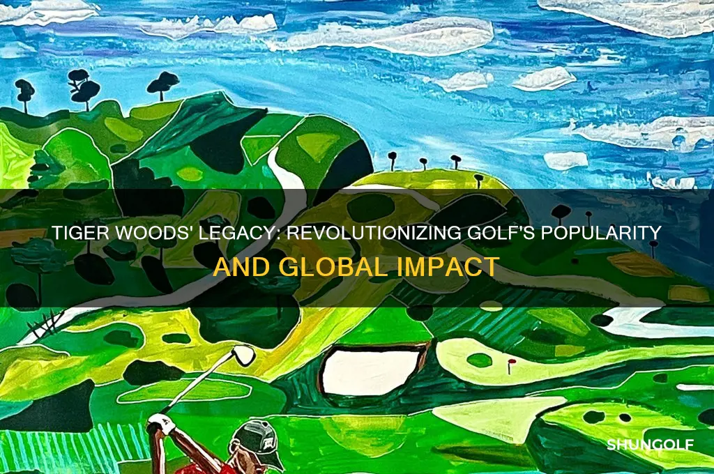 what did tiger woods do for golf