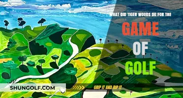 Tiger Woods' Legacy: Revolutionizing Golf's Popularity and Diversity