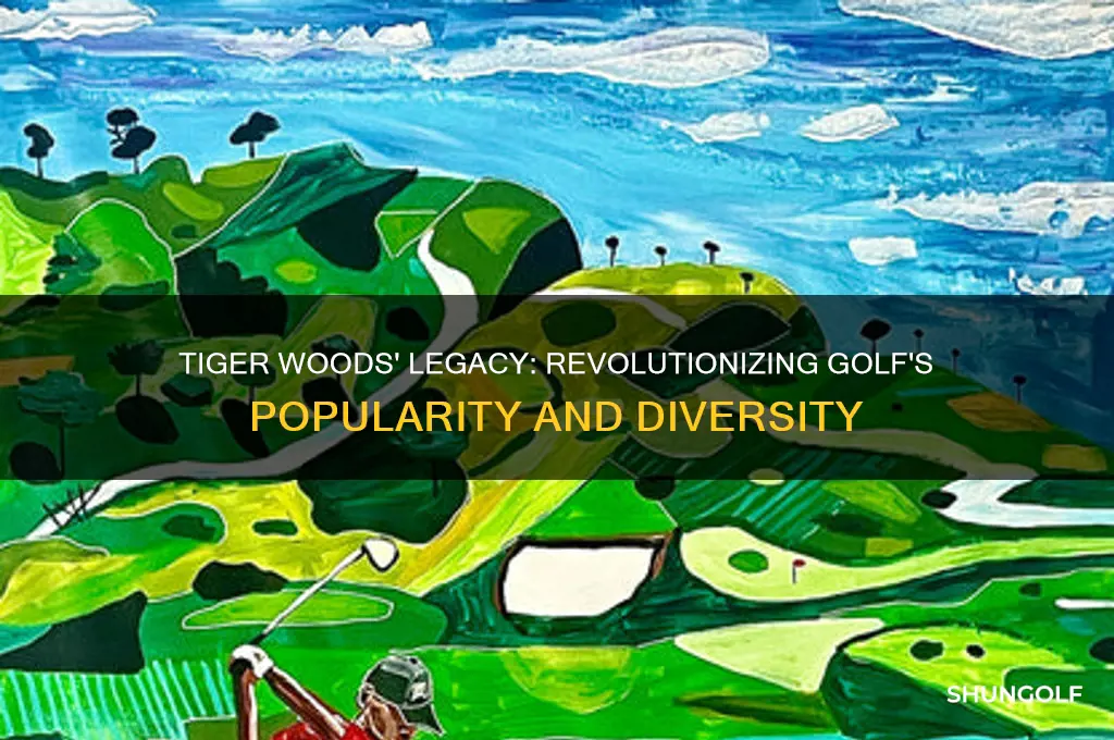 what did tiger woods do for the game of golf