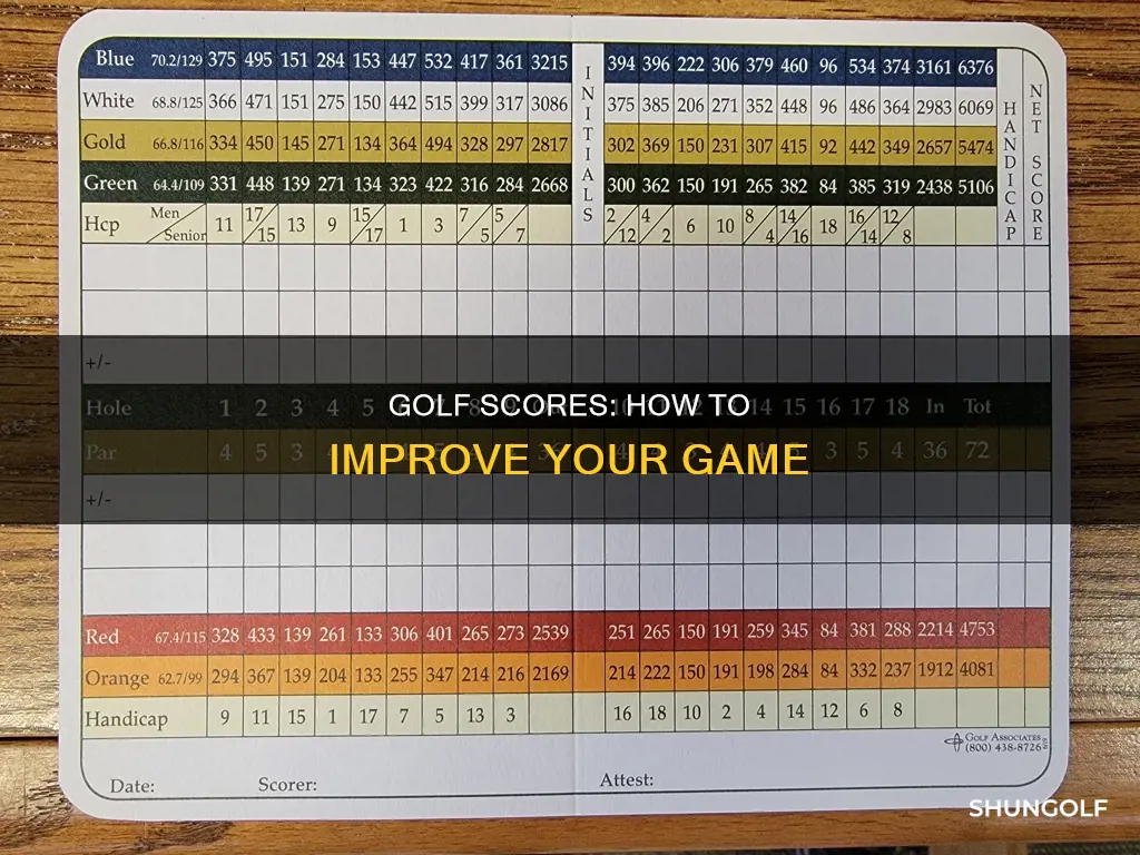 what did you score in golf