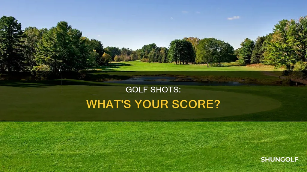 what did you shoot golf