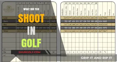 Golf Shots: What Did You Shoot?