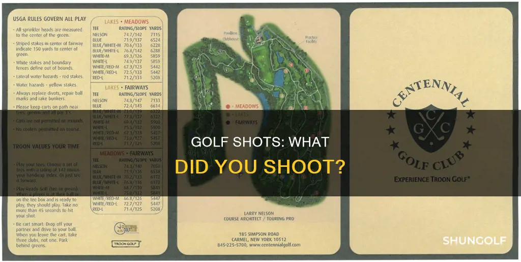 what did you shoot in golf