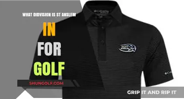 St. Anselm's Golf Division: Understanding Its Competitive Level and League