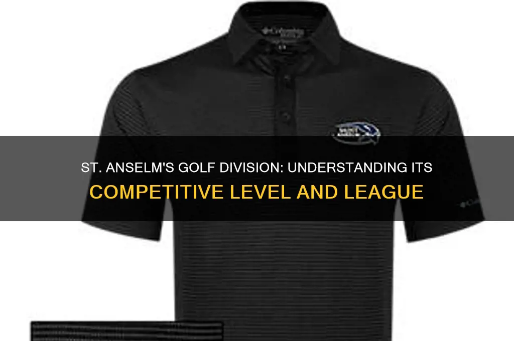 what didvision is st anslem in for golf