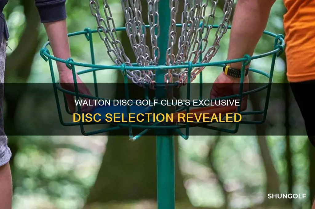 what disc did the walton disc golf club have