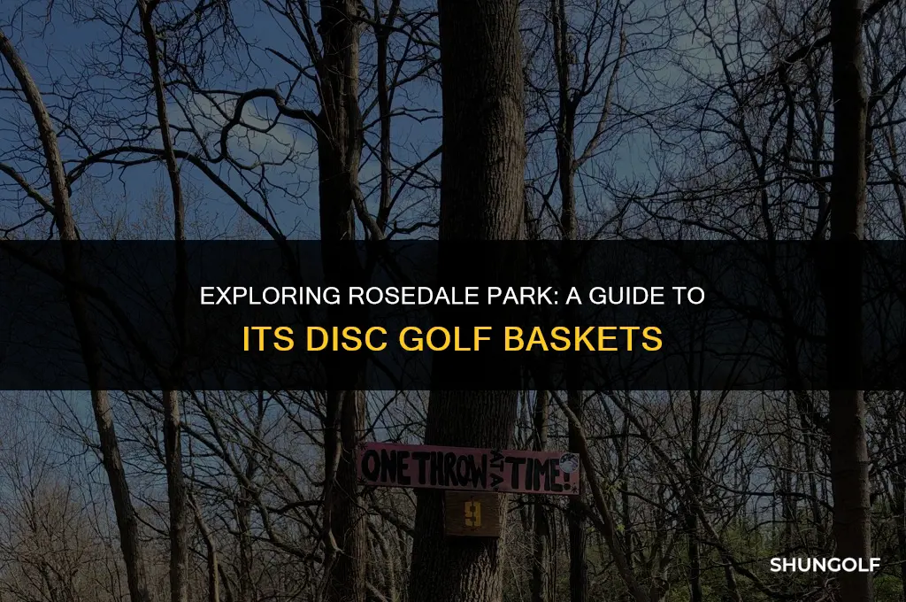 what disc golf basket are in rosedale park
