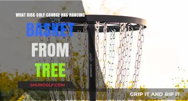 Unique Disc Golf Courses Featuring Hanging Baskets from Trees