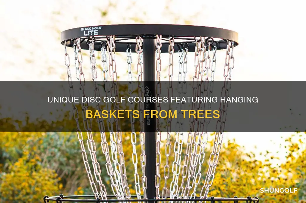 what disc golf course has hanging basket from tree