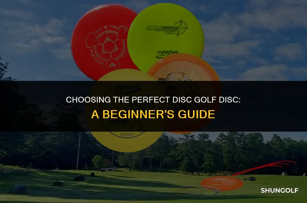 what disc golf dic do i want